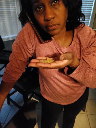 Customer photo review of Organic Sea Moss Gummies - Natural Sea Moss and Bladderwrack with Burdock root Gummy - 60 Gummies