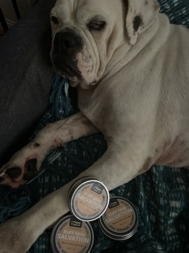 Customer photo review of Ruff Skin Salvation - Skin repair balm for dogs