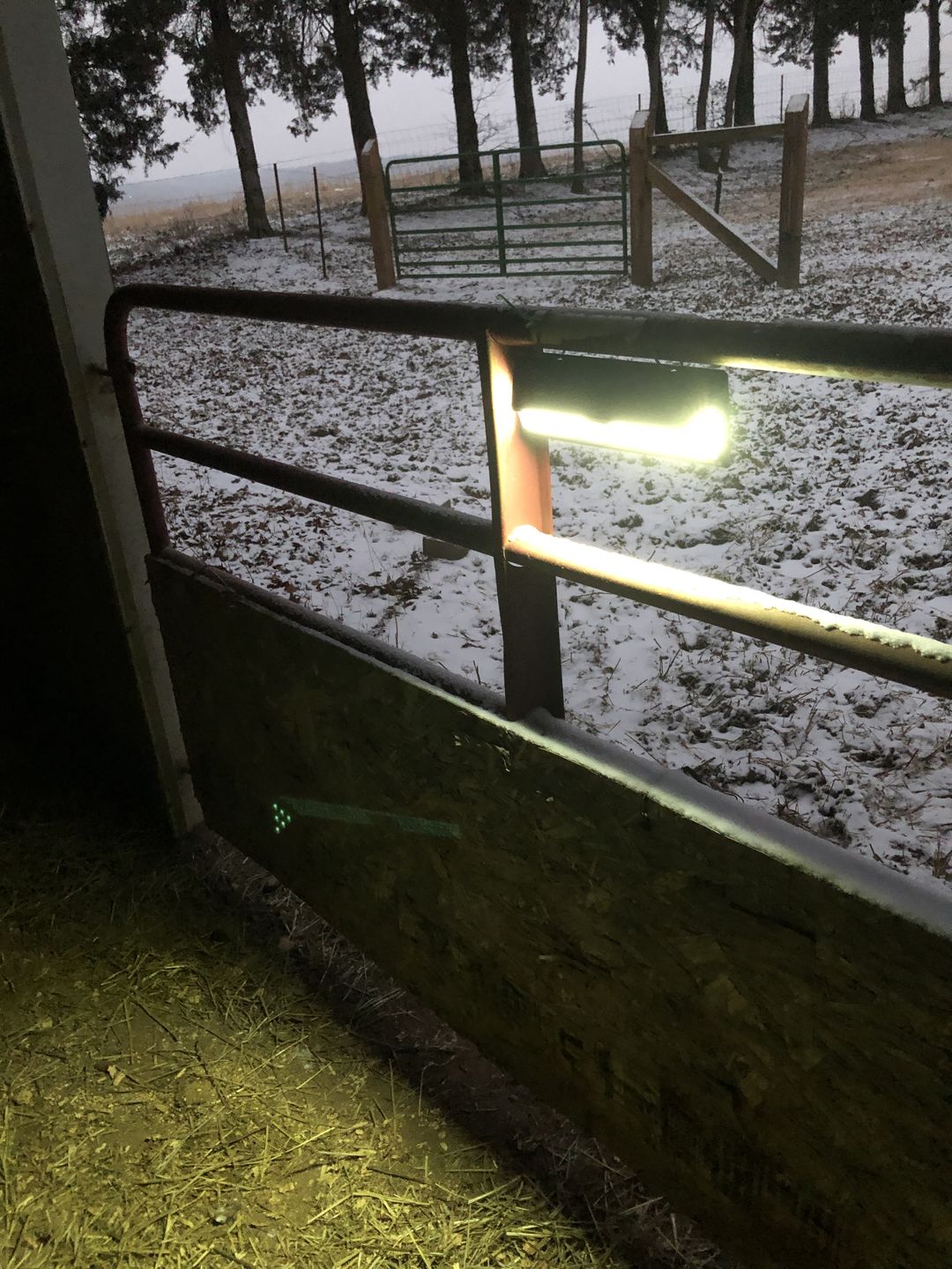 Customer photo review of 118 LED Solar Light 1000 Lumens
