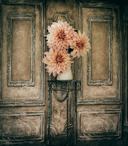 Customer photo review of Kate Retro Wall with Wood Floor Backdrop Designed by Chain Photography