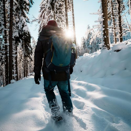 Customer photo review of FUCHS SPUR VERTIKAL - Bio Damen Shirt