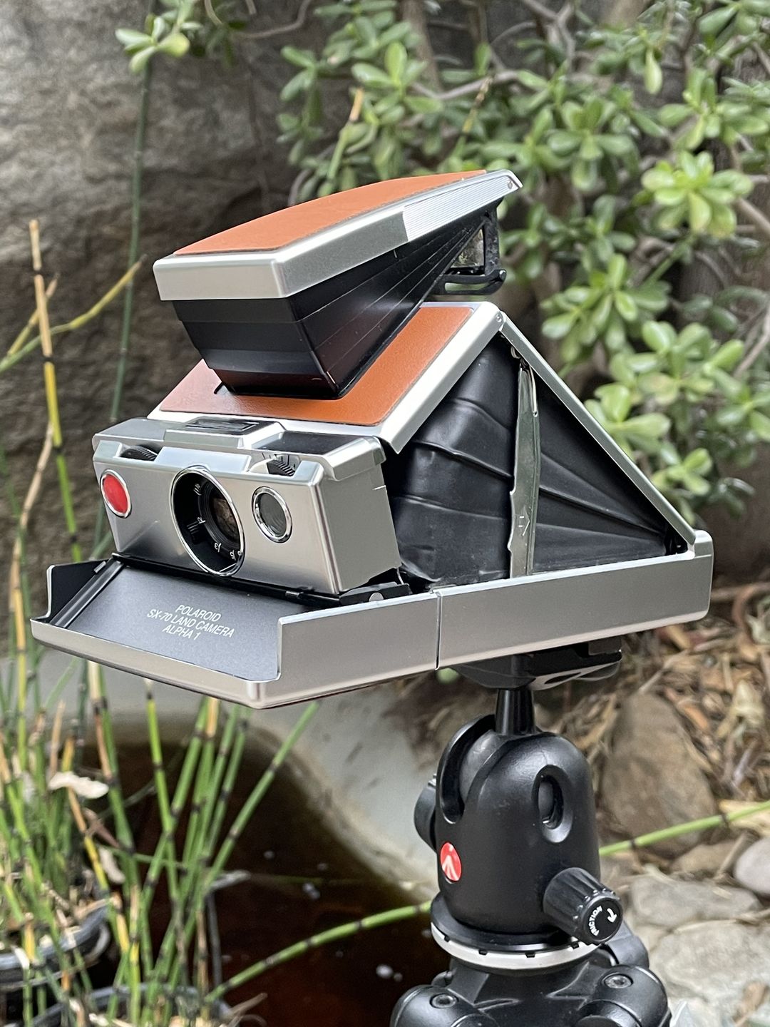 Customer photo review of Polaroid SX-70 Alpha 1 Chrome Folding Instant Film Camera