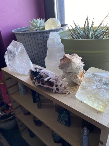 Customer photo review of @eloyah