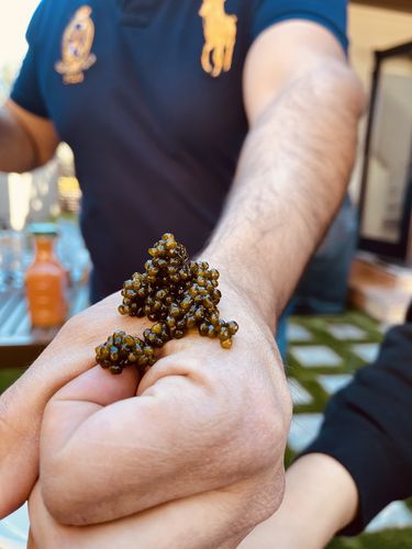 Customer photo review of Kaluga Sturgeon Caviar “River Beluga”