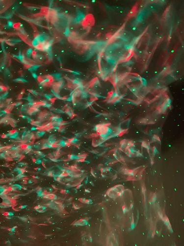 Customer photo review of Yunix Galaxy Projector