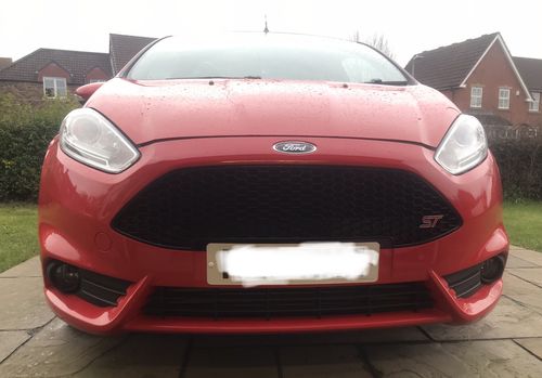 Customer photo review of Fiesta ST180 Fog Light Armour