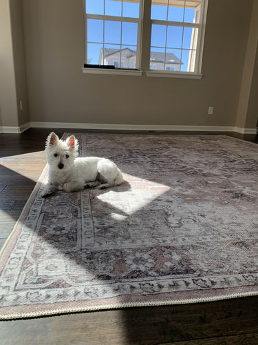 Customer photo review of Distressed Vintage Cezanne Blush Area Rug