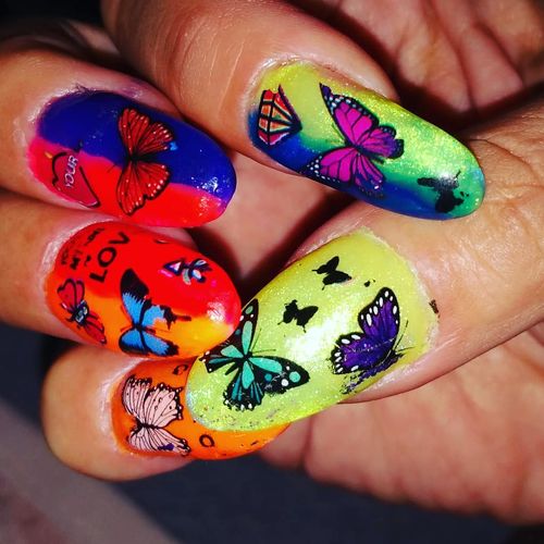 Customer photo review of 6 Color Crystal Jelly Gel Polish Set in Rainbow 10ML P-08
