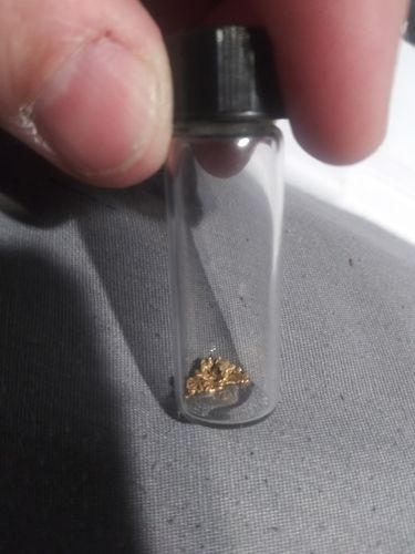 Customer photo review of *BOGO* Goldn Paydirt '$5,000 Nugget Giveaway' - Gold Panning Paydirt Concentrate
