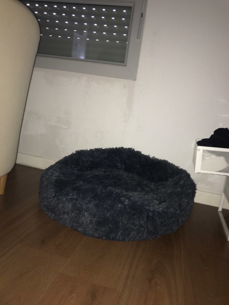 Customer photo review of Pet Calming Bed