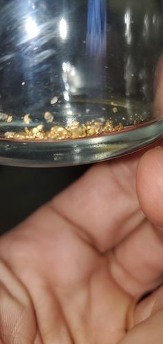 Customer photo review of '150 GRAM GOLD HUNT' - ELITE Gold Paydirt Panning Concentrates