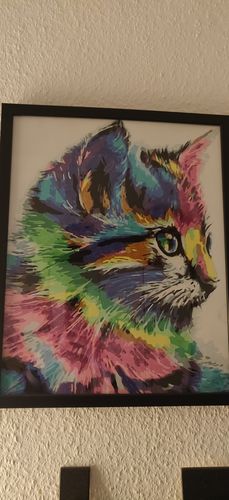 Customer photo review of Malen nach Zahlen - NEON Katze