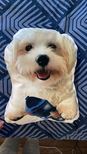 Customer photo review of Blazina s tvojim ljubljenčkom