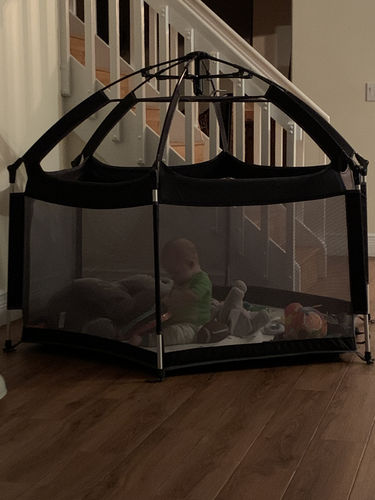 Customer photo review of Pop N' Go® Playpen