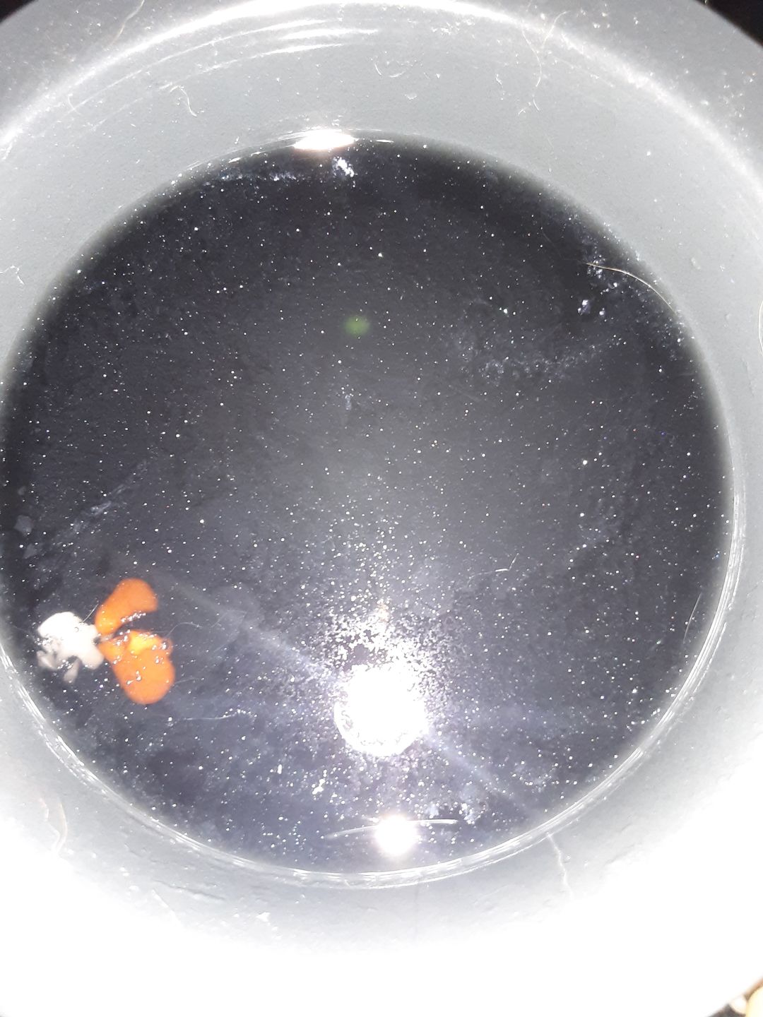 Customer photo review of Be Gone Demon Wax Melt