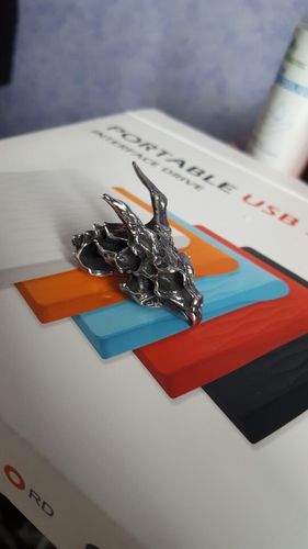 Customer photo review of Collier Dragon<br> Animal Féroce (Acier)
