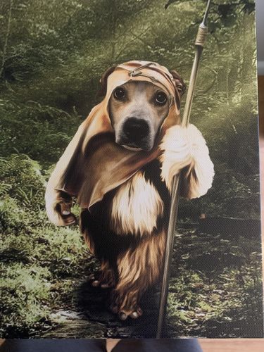 Customer photo review of Dogg-E-Wok Personalized Canvas