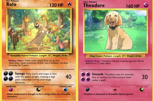 Customer photo review of Pokepet