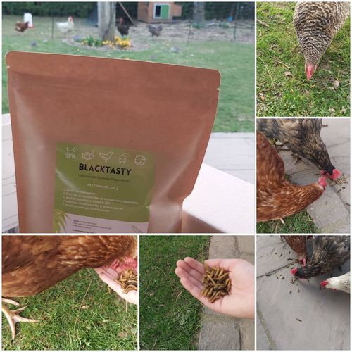 Customer photo review of BlackTasty™ Futtermittel aus Insekten