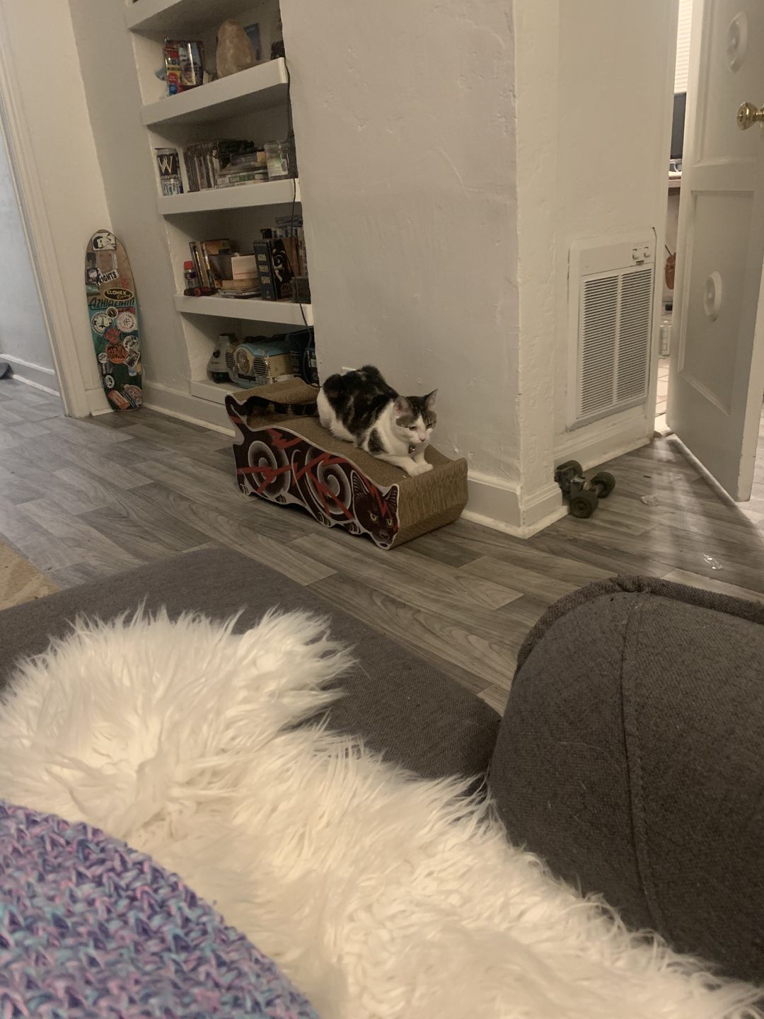 Customer photo review of Electric Cat Scratcher