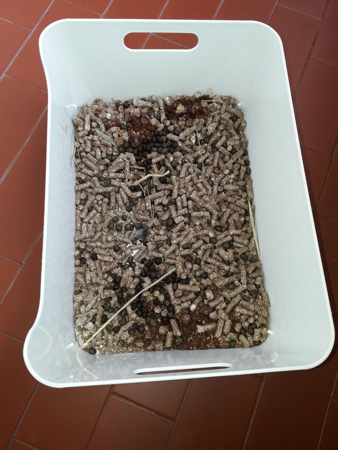 Customer photo review of Promoção litter 3 x 10l = 30L