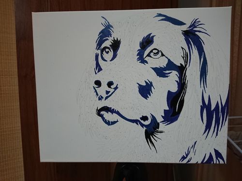 Customer photo review of Kit Pictura pe Numere - Catel Artistic