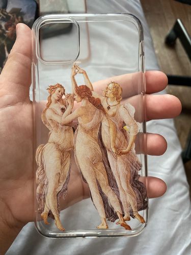 Customer photo review of Renaissance Transparent Art Lover iPhone Case