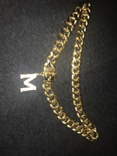 Customer photo review of Cuban Link 20mm Dog Gold Chain Collar