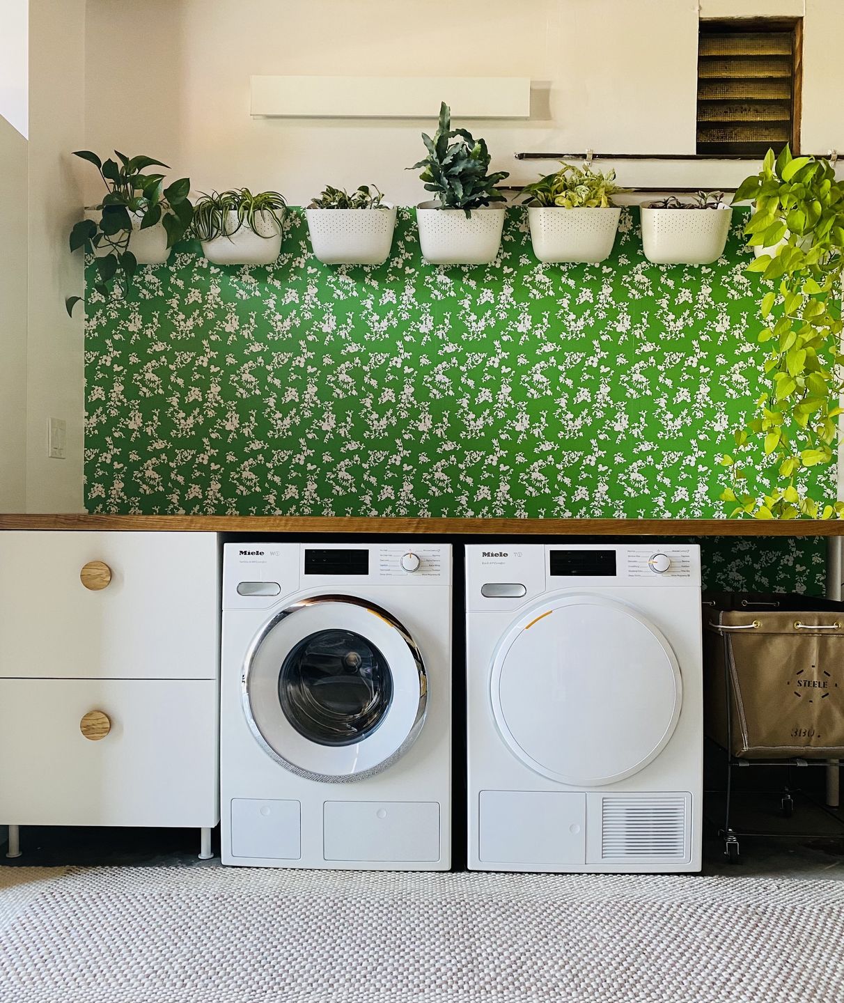 Customer photo review of Eco White Wall Planter