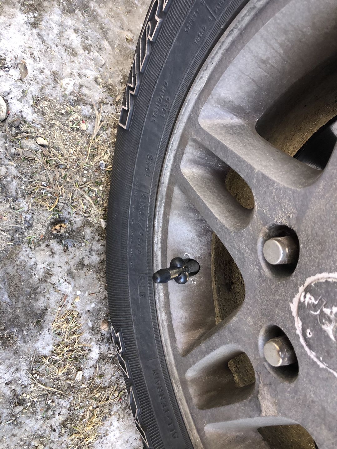 Customer photo review of Tirecockz Prank Penis Shaped Valve Stem Cap