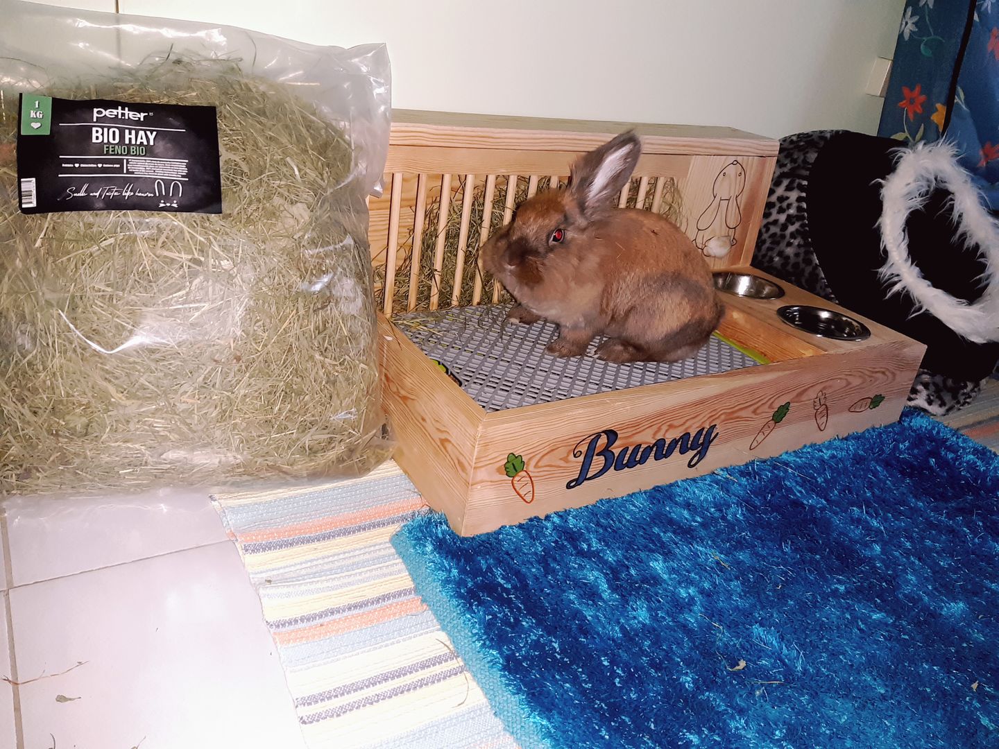 Customer photo review of Feno BIO by petter® (Mais opções disponiveis)
