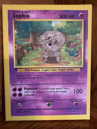 Customer photo review of Pokepet