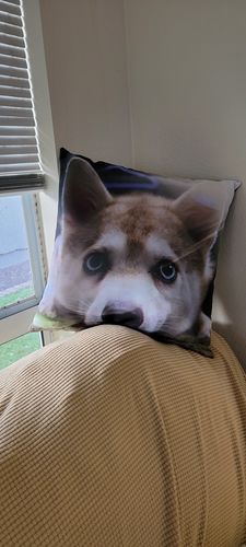 Customer photo review of Create A Custom Dog Pillow