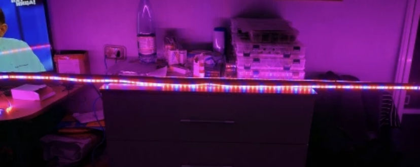 Customer photo review of VitaLeds