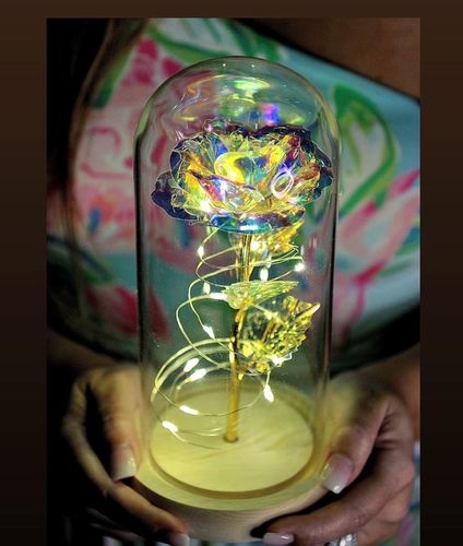 Customer photo review of Galaxy Rose