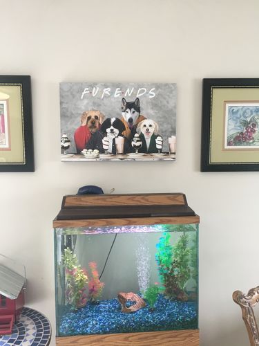 Customer photo review of 'Furends' Personalized 4 Pet Canvas