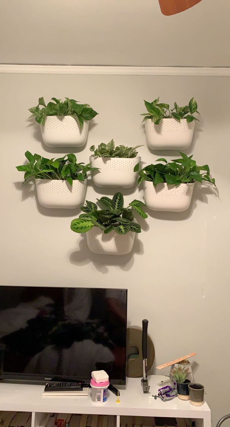 Customer photo review of Eco White Wall Planter