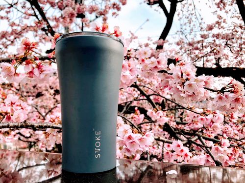 Customer photo review of STTOKE(L)