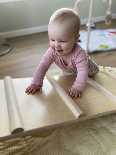 Customer photo review of Add-On Accessory for Little Climber