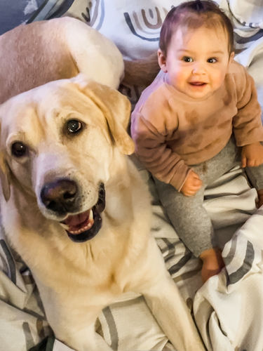 Customer photo review of California Voyager Blanket