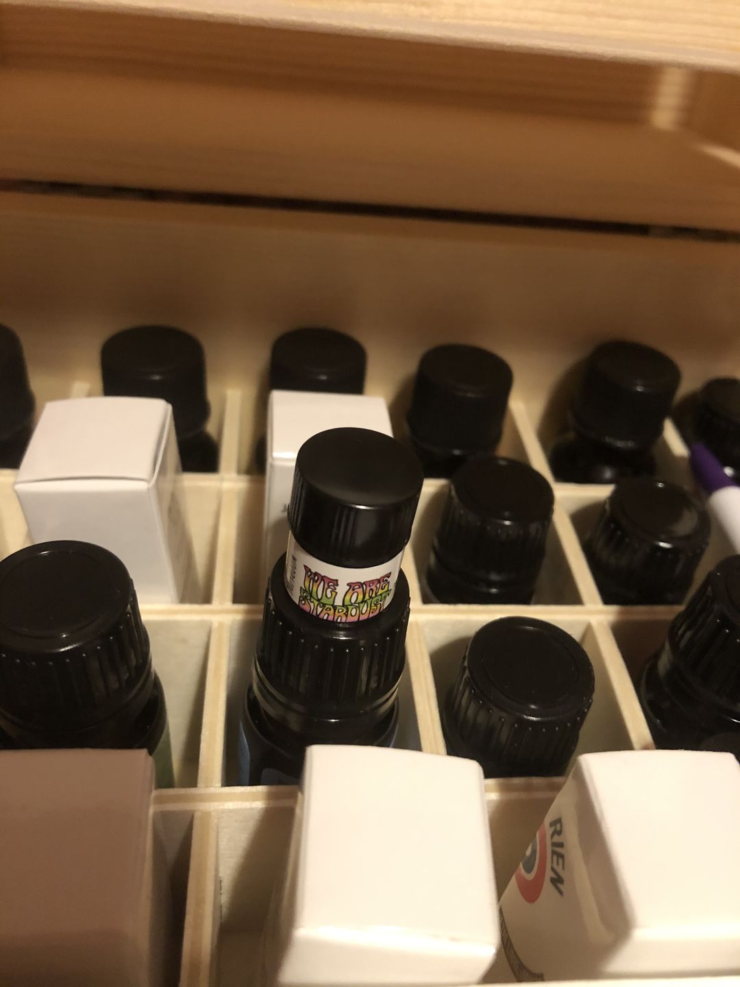 Customer photo review of We Are Stardust