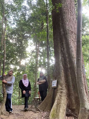 Customer photo review of Swift Skirt Pants