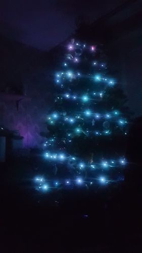 Customer photo review of Personalized Christmas LED String Lights