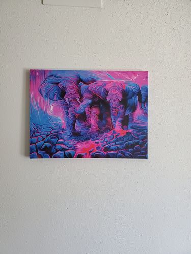 Customer photo review of Exodus Canvas Set