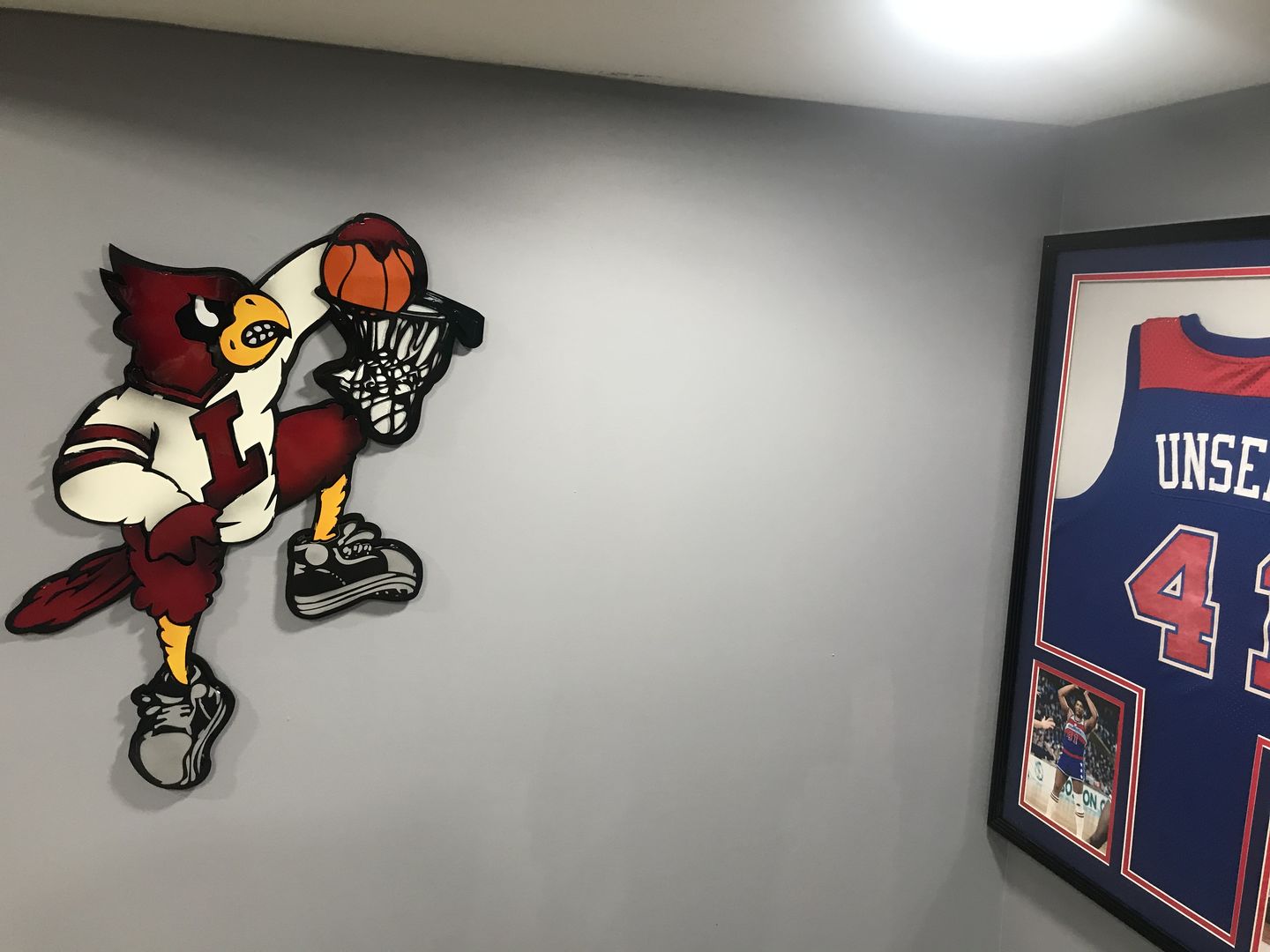 Customer photo review of Louisville Cardinals "Dunking Cardinal Bird" 3D VAULT Metal Artwork 30" x 21"