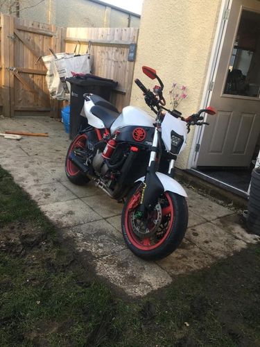 Customer photo review of 2014 - 2016 KTM LED HEADLIGHT 4200 LUMENS SUPER BRIGHT LIGHT EXC XC TPI PLUG & PLAY 14-16 [ WHITE | BLACK | ORANGE | INSERT]