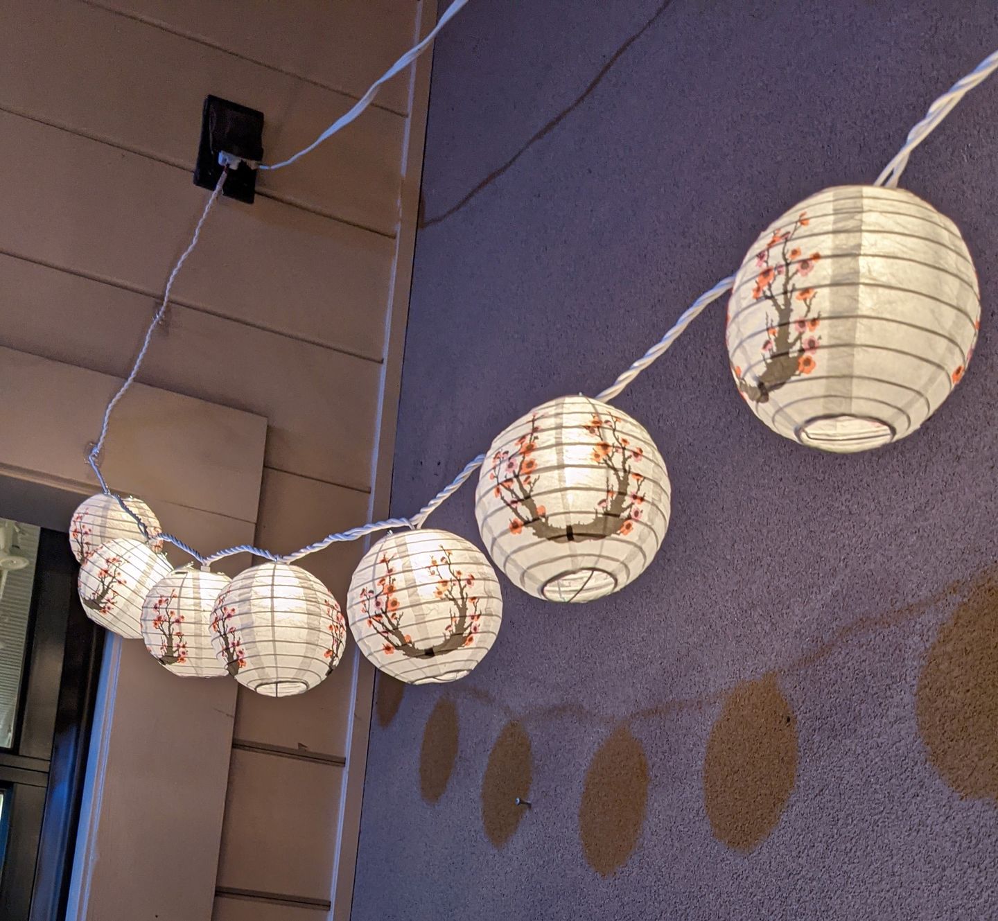 Customer photo review of 10 Socket Cherry Blossom / Sakura Round Paper Lantern Party String Lights (4" Lanterns, Expandable)