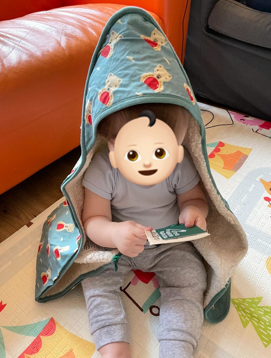 Customer photo review of Polar Bear Blanket