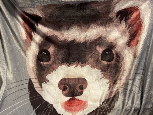 Customer photo review of Custom Pet Print Fleece Blanket