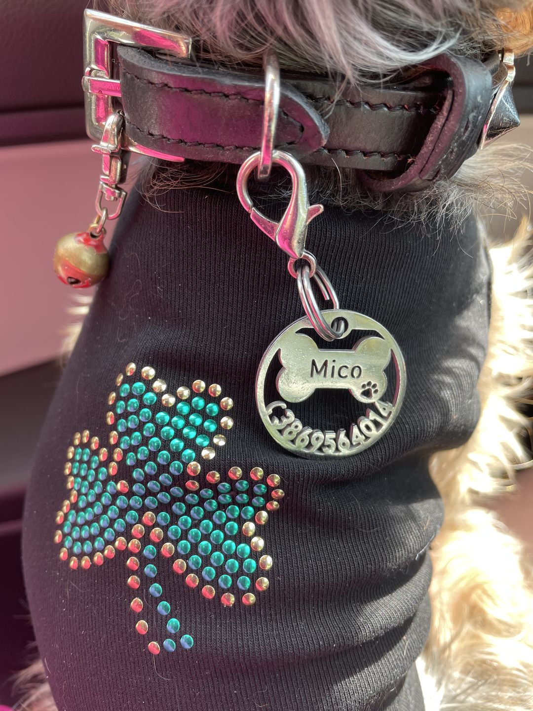 Customer photo review of Light Hollow Tags